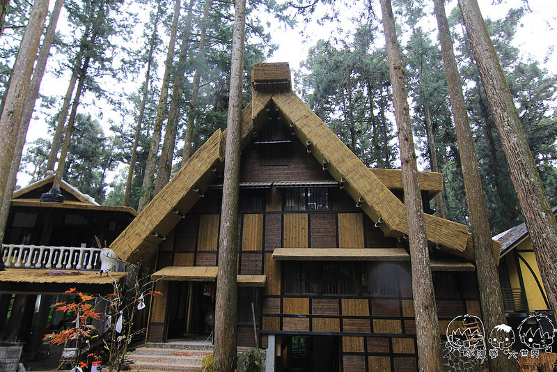 溪頭一日遊6 074