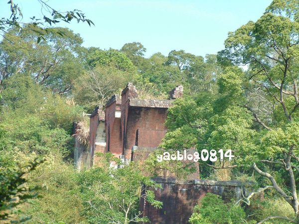龍騰斷橋_樹林中