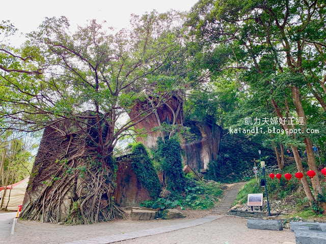 【苗栗輕旅行】龍騰斷橋｜斑駁的石橋，我看到宮崎駿筆下城堡的一隅