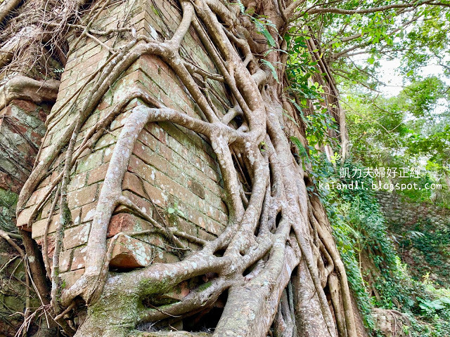 【苗栗輕旅行】龍騰斷橋｜斑駁的石橋，我看到宮崎駿筆下城堡的一隅