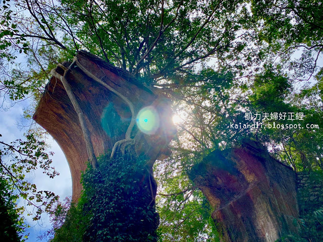 【苗栗輕旅行】龍騰斷橋｜斑駁的石橋，我看到宮崎駿筆下城堡的一隅