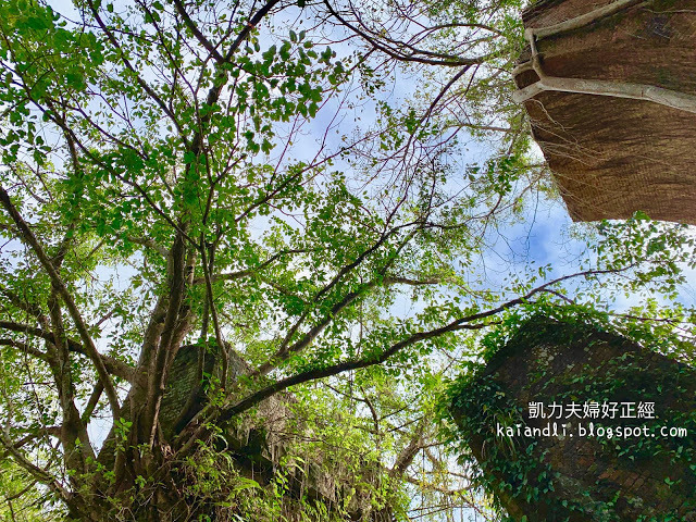 【苗栗輕旅行】龍騰斷橋｜斑駁的石橋，我看到宮崎駿筆下城堡的一隅