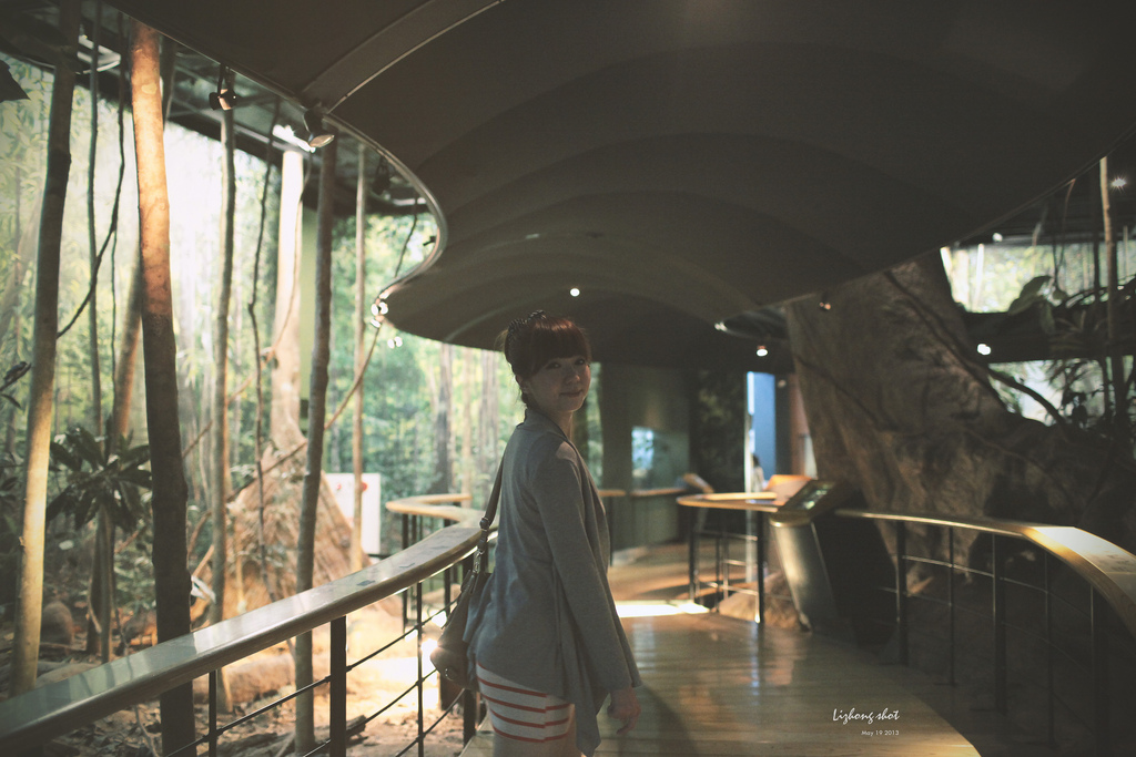 在混亂中喘息的台中週記2/2 在混亂中喘息的台中週記2/2