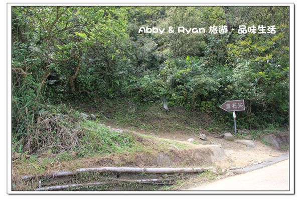 newIMG_8470.jpg newIMG_8470.jpg