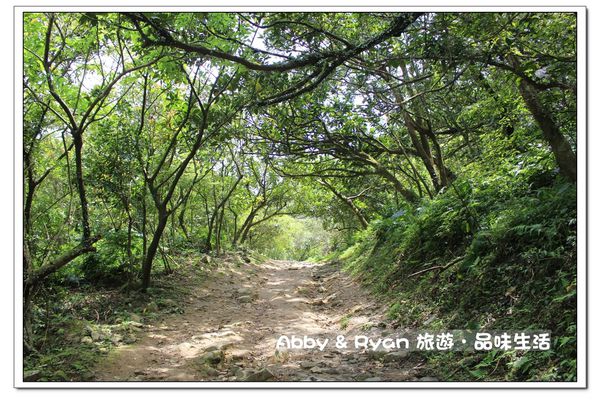 newIMG_8471.jpg newIMG_8471.jpg