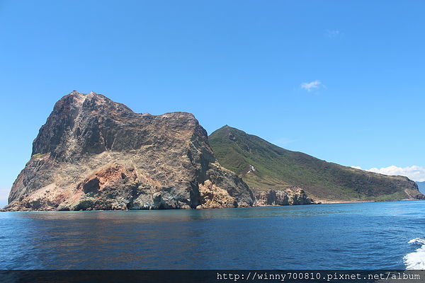 龜山島：宜蘭/頭城【龜山朝日號 賞鯨之旅】乘風破浪，賞鯨豚兼賞龜山島~