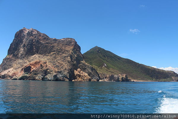 龜山島：宜蘭/頭城【龜山朝日號 賞鯨之旅】乘風破浪，賞鯨豚兼賞龜山島~