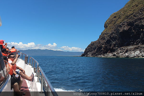 龜山島：宜蘭/頭城【龜山朝日號 賞鯨之旅】乘風破浪，賞鯨豚兼賞龜山島~