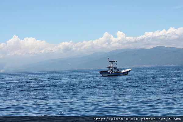 龜山島：宜蘭/頭城【龜山朝日號 賞鯨之旅】乘風破浪，賞鯨豚兼賞龜山島~