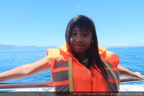 龜山島：宜蘭/頭城【龜山朝日號 賞鯨之旅】乘風破浪，賞鯨豚兼賞龜山島~