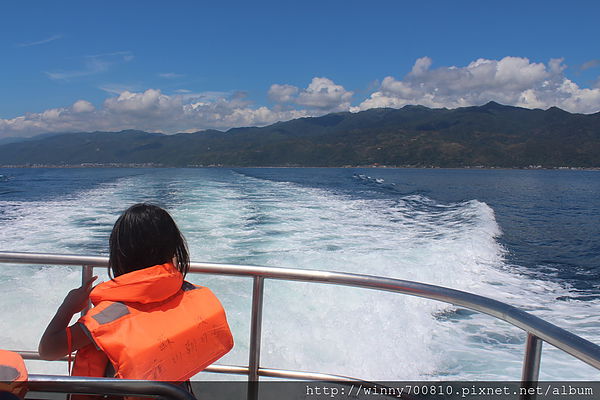 龜山島：宜蘭/頭城【龜山朝日號 賞鯨之旅】乘風破浪，賞鯨豚兼賞龜山島~
