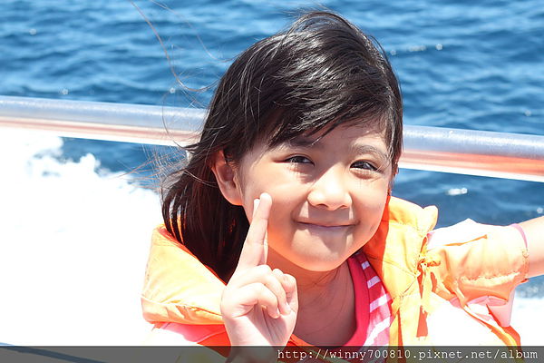 龜山島：宜蘭/頭城【龜山朝日號 賞鯨之旅】乘風破浪，賞鯨豚兼賞龜山島~