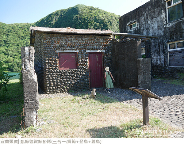 凱鯨號賞鯨船隊登龜山島-28.jpg