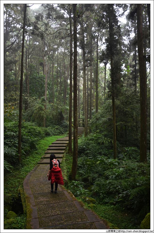 【南投】鹿谷．溪頭森林遊樂園區（附地圖）