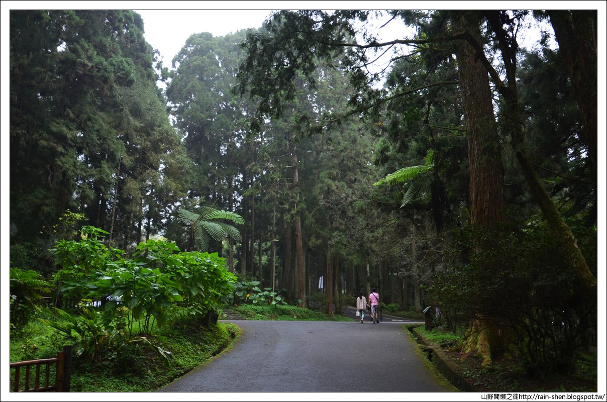 【南投】鹿谷．溪頭森林遊樂園區（附地圖）