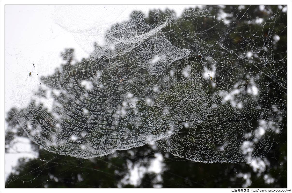 【南投】鹿谷．溪頭森林遊樂園區（附地圖）