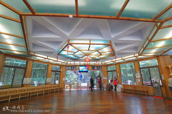 溪頭森林遊樂區