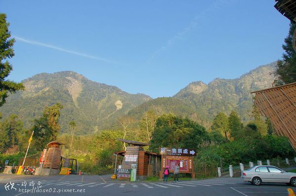 溪頭森林遊樂區