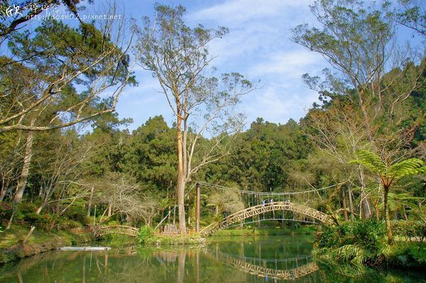 溪頭森林遊樂區
