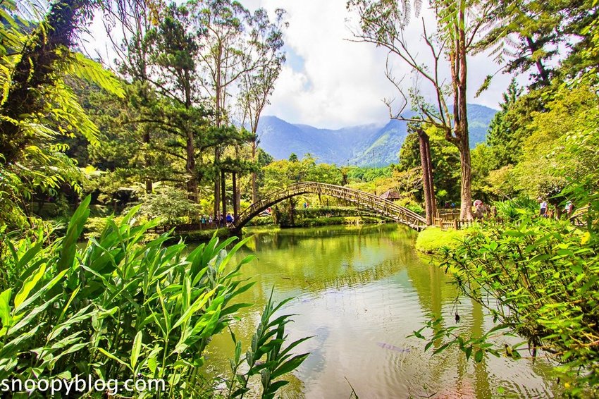 溪頭自然教育園區～溪頭門票資訊、導覽地圖、建議路線，豐富的溪頭生態導覽