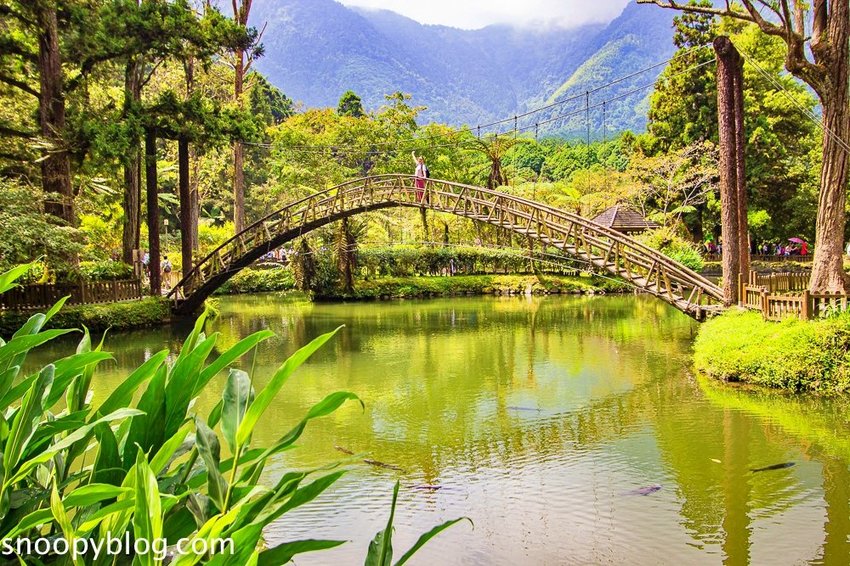 溪頭自然教育園區～溪頭門票資訊、導覽地圖、建議路線，豐富的溪頭生態導覽