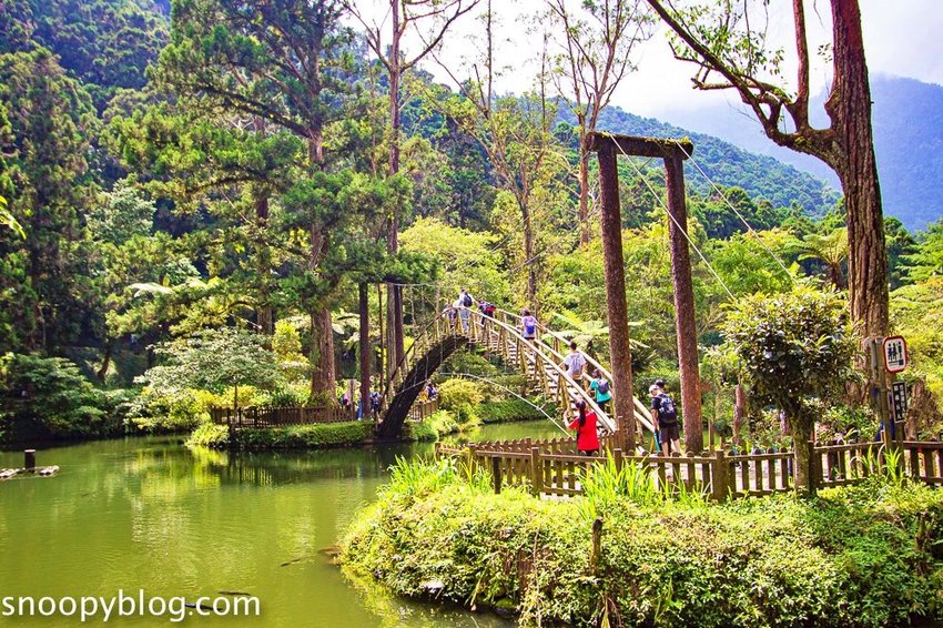 溪頭自然教育園區～溪頭門票資訊、導覽地圖、建議路線，豐富的溪頭生態導覽