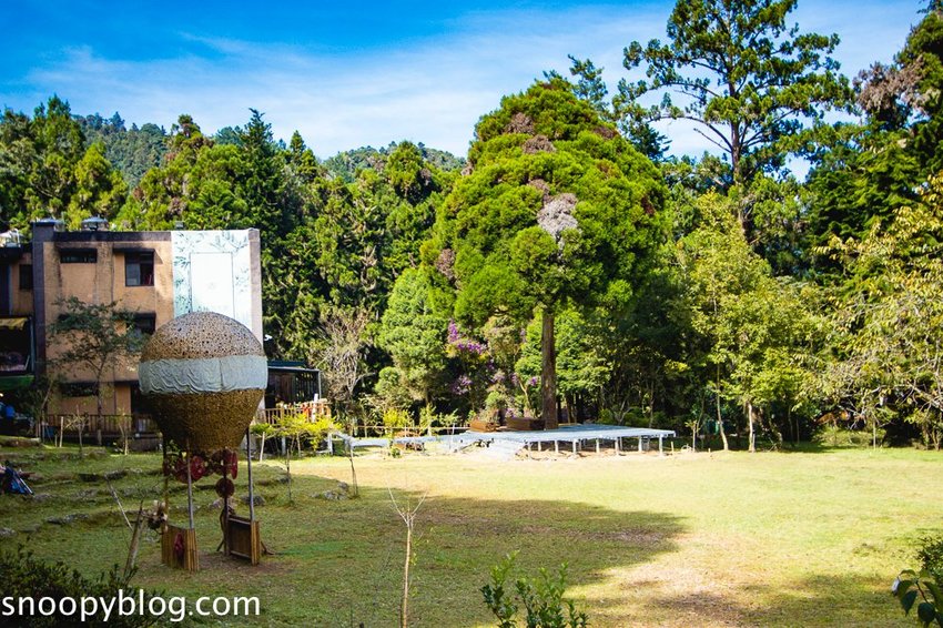溪頭自然教育園區～溪頭門票資訊、導覽地圖、建議路線，豐富的溪頭生態導覽
