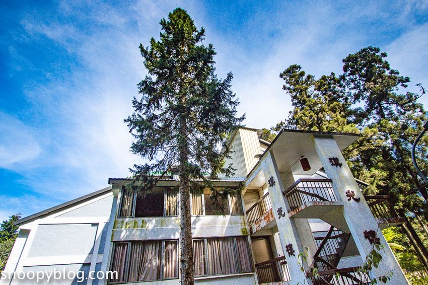 溪頭自然教育園區～溪頭門票資訊、導覽地圖、建議路線，豐富的溪頭生態導覽