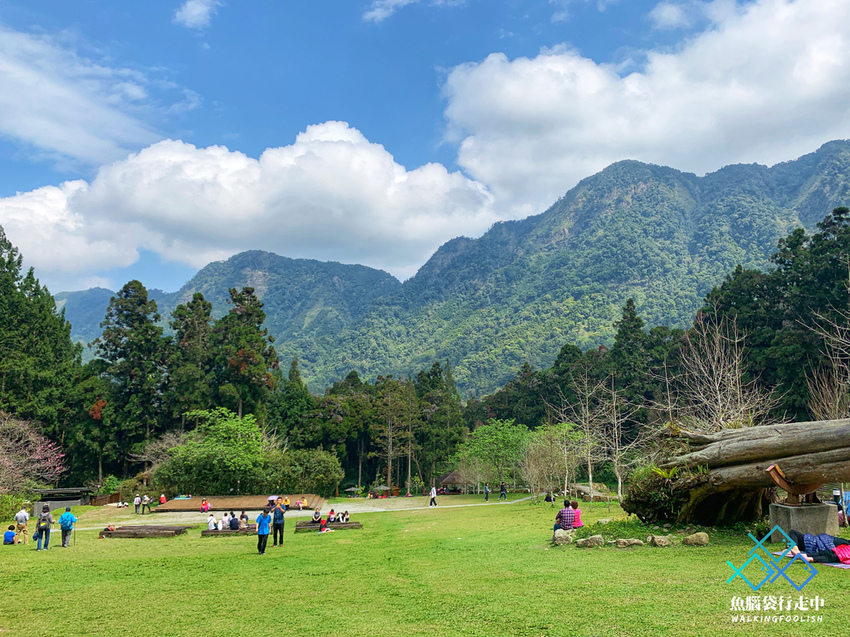 魚腦袋行走中＿南投景點＿溪頭森林步道39.jpg
