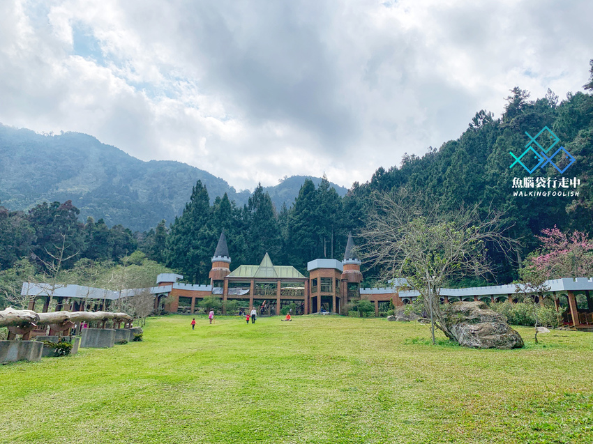 魚腦袋行走中＿南投景點＿溪頭森林步道38.jpg