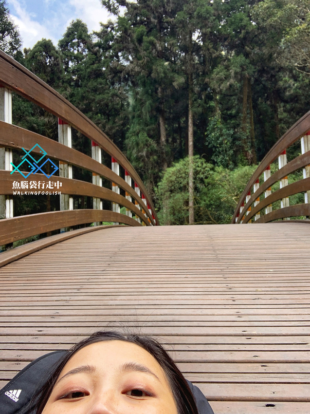 魚腦袋行走中＿南投景點＿溪頭森林步道29.jpg