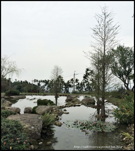 『呷』「雲林古坑鄉」☆ 華山觀止 ☆ 作伙來呼吸著清新山林氣息與品嚐下午茶