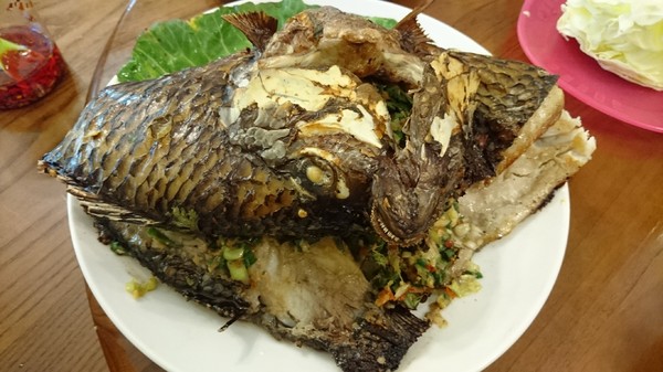 魯媽媽雲南擺夷料理：南投清境~魯媽媽雲南擺夷料理~香酥竹蟲試膽量~超火紅餐廳~必吃異國風料理美食~