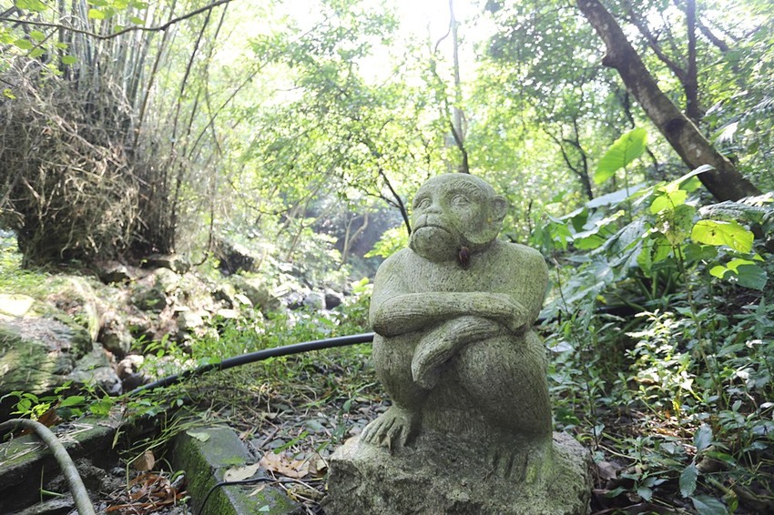 屏東景點。大津瀑布，山不高、好走又沁涼、舒心的消暑的聖地