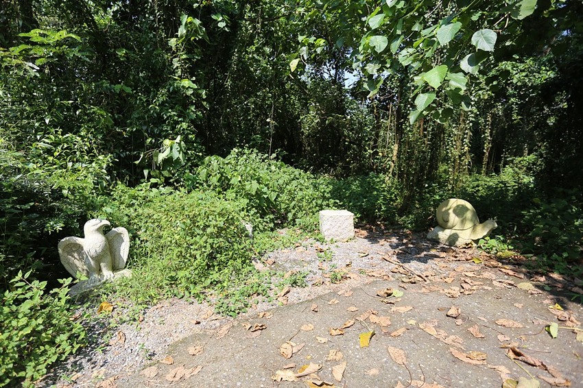 屏東景點。大津瀑布，山不高、好走又沁涼、舒心的消暑的聖地
