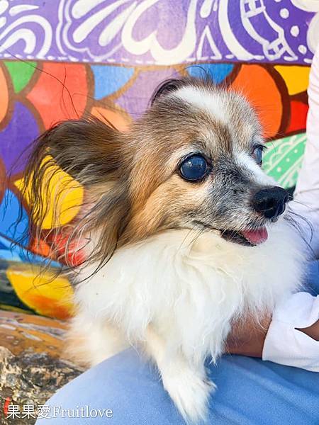 128679162_4971325372907647_6204709847593671195_n.jpg 128679162_4971325372907647_6204709847593671195_n.jpg