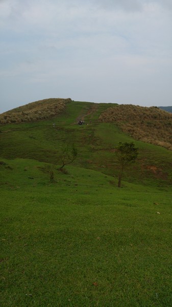 陽明山擎天崗：【台北旅遊】擎天崗大草原看牛@士林陽明山