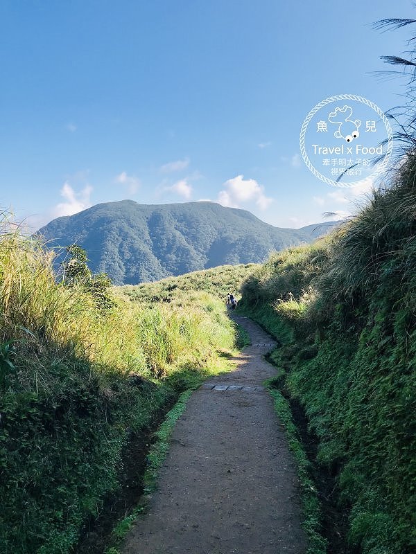 【遊】擎天崗大草原|親子、情侶、家人,手牽手出遊去~ @魚兒 x 牽手明太子的「視」界旅行