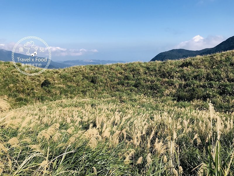 【遊】擎天崗大草原|親子、情侶、家人,手牽手出遊去~ @魚兒 x 牽手明太子的「視」界旅行