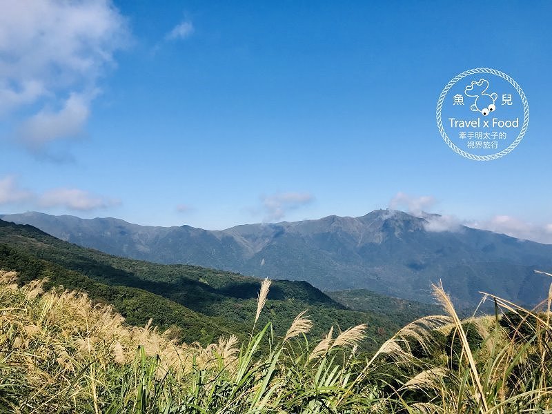 【遊】擎天崗大草原|親子、情侶、家人,手牽手出遊去~ @魚兒 x 牽手明太子的「視」界旅行