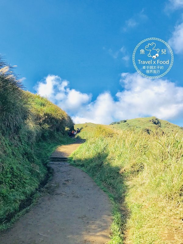 【遊】擎天崗大草原|親子、情侶、家人,手牽手出遊去~ @魚兒 x 牽手明太子的「視」界旅行