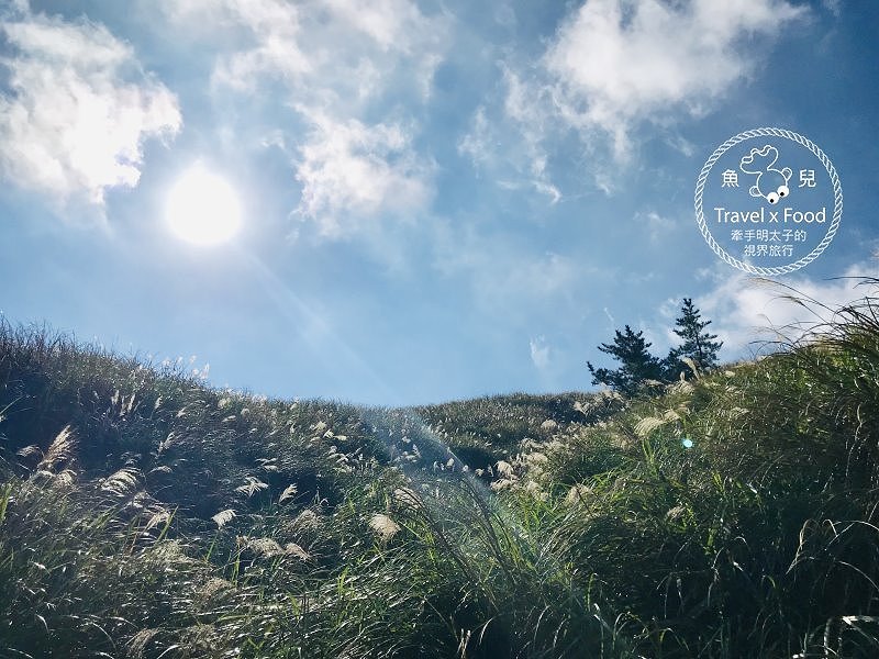 【遊】擎天崗大草原|親子、情侶、家人,手牽手出遊去~ @魚兒 x 牽手明太子的「視」界旅行