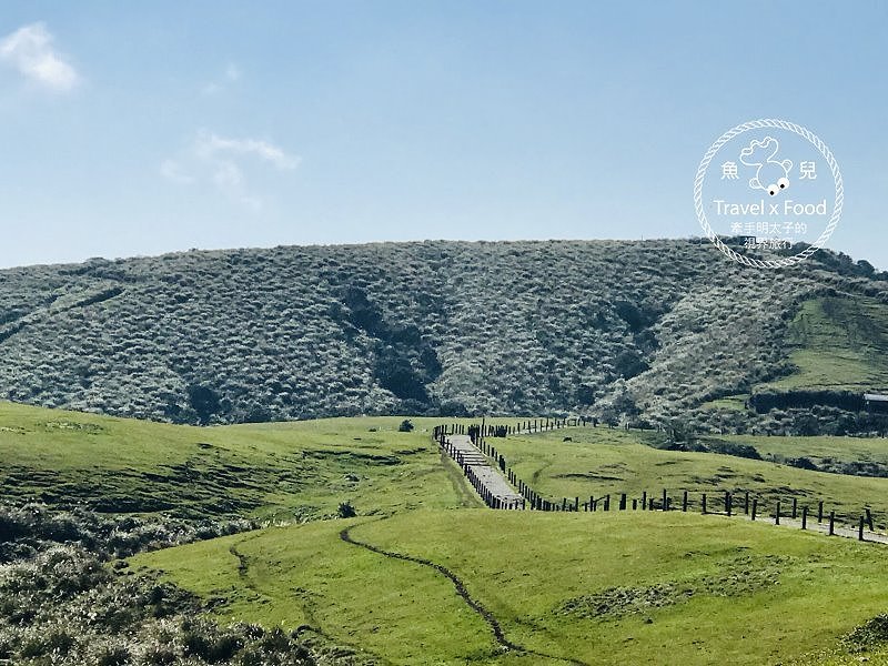 【遊】擎天崗大草原|親子、情侶、家人,手牽手出遊去~ @魚兒 x 牽手明太子的「視」界旅行