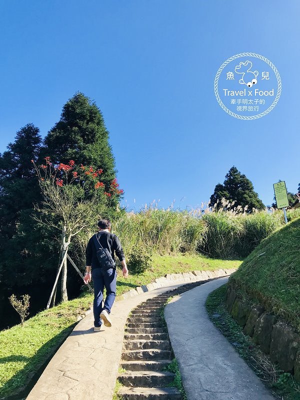 【遊】擎天崗大草原|親子、情侶、家人,手牽手出遊去~ @魚兒 x 牽手明太子的「視」界旅行