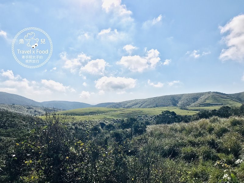 【遊】擎天崗大草原|親子、情侶、家人,手牽手出遊去~ @魚兒 x 牽手明太子的「視」界旅行