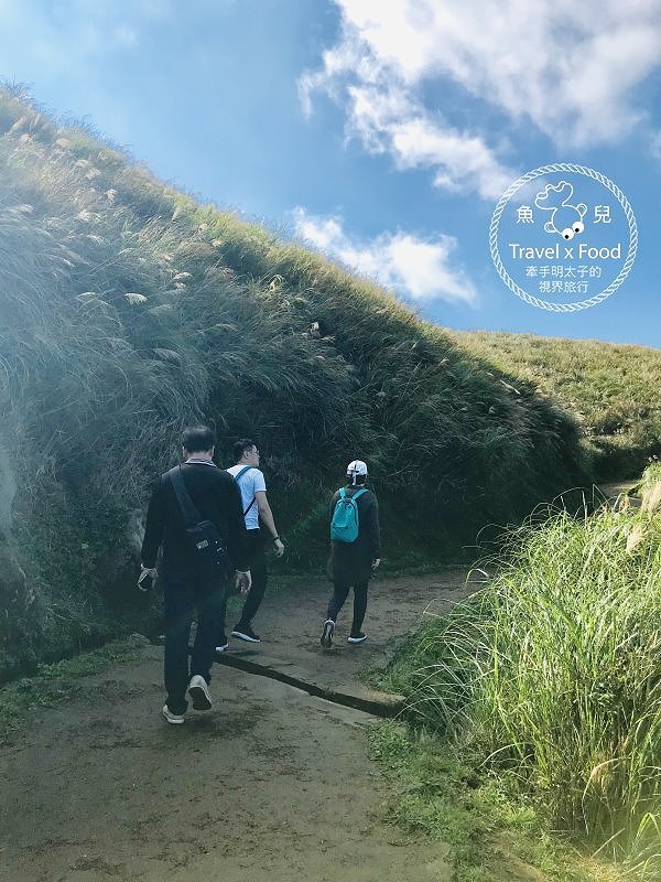 【遊】擎天崗大草原|親子、情侶、家人,手牽手出遊去~ @魚兒 x 牽手明太子的「視」界旅行