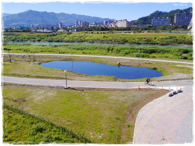 新店陽光運動公園賞河津櫻 新店陽光運動公園賞河津櫻