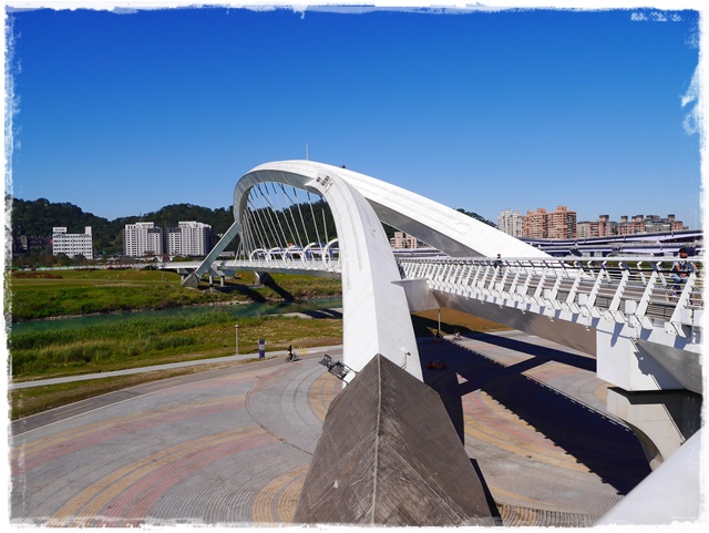 新店陽光運動公園賞河津櫻 新店陽光運動公園賞河津櫻