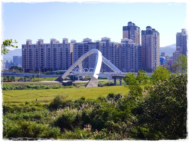 新店陽光運動公園賞河津櫻 新店陽光運動公園賞河津櫻
