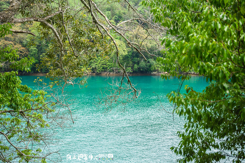 ｜南投景點｜全球十大最美自行車道，向山遊客中心環潭自行車道 - 阿婷的旅行札記。